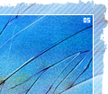 angelofdeath05