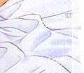 sweetdreams15